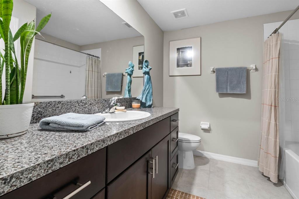 809 Timeless Moss Drive Ruskin, FL 33570 - Photo 33 of 76