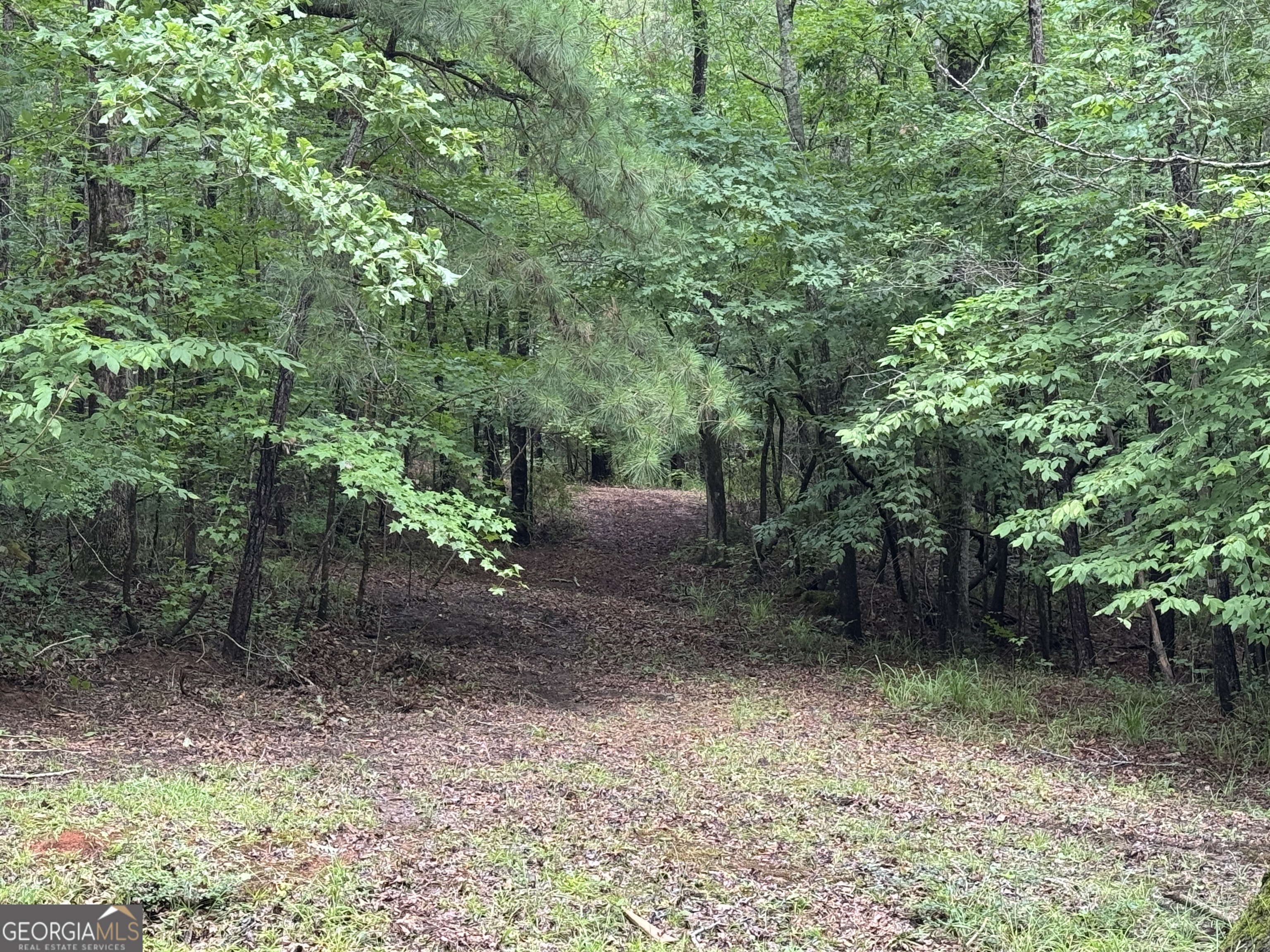 3413 Dames Ferry Road Forsyth, GA 31029 - Photo 8 of 23