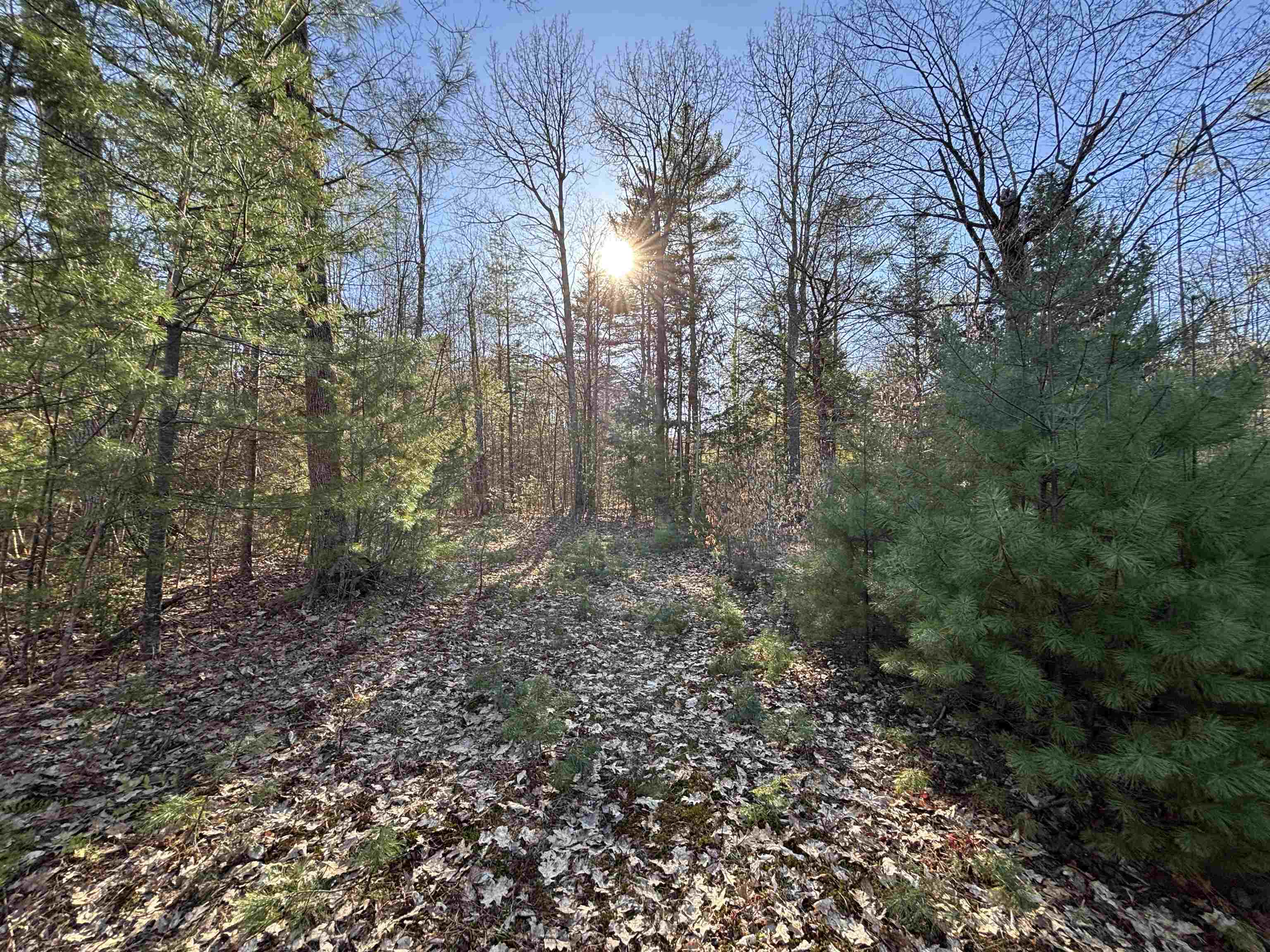 0 Simonsville Road, Unit LOT 3 Andover, VT 05143 - Photo 3 of 27