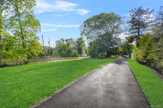 a view of yard with green space