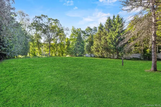 a view of a grassy field with trees in the background