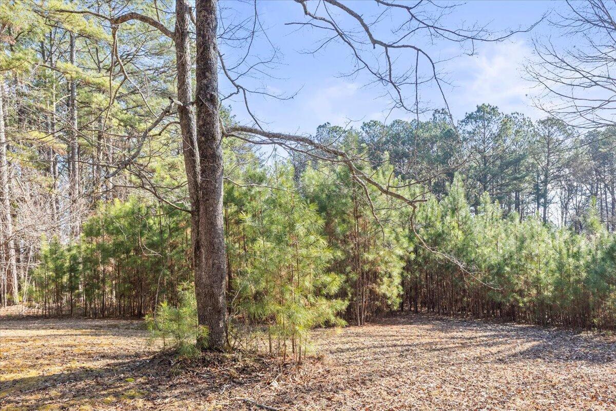 319 Cannon Road LaFayette, GA 30728 - Photo 6 of 17 20260106200746036458000000-o