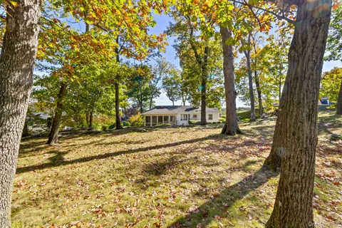 a view of a yard with plants and trees