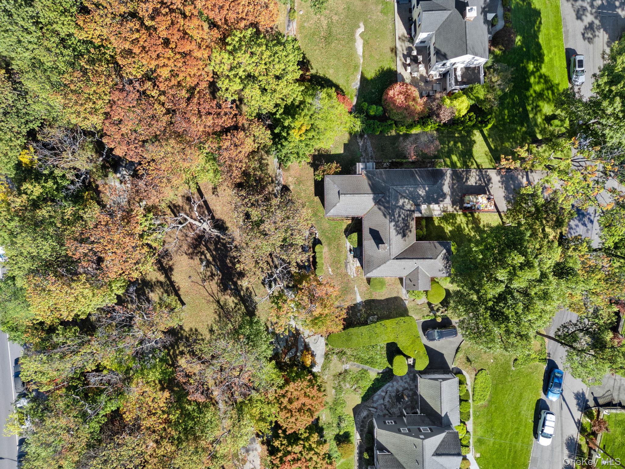 87 Rockledge Road Bronxville, NY 10708 - Photo 12 of 13 a plant that is in a garden