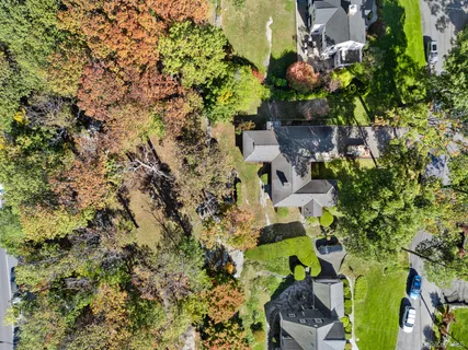 a plant that is in a garden