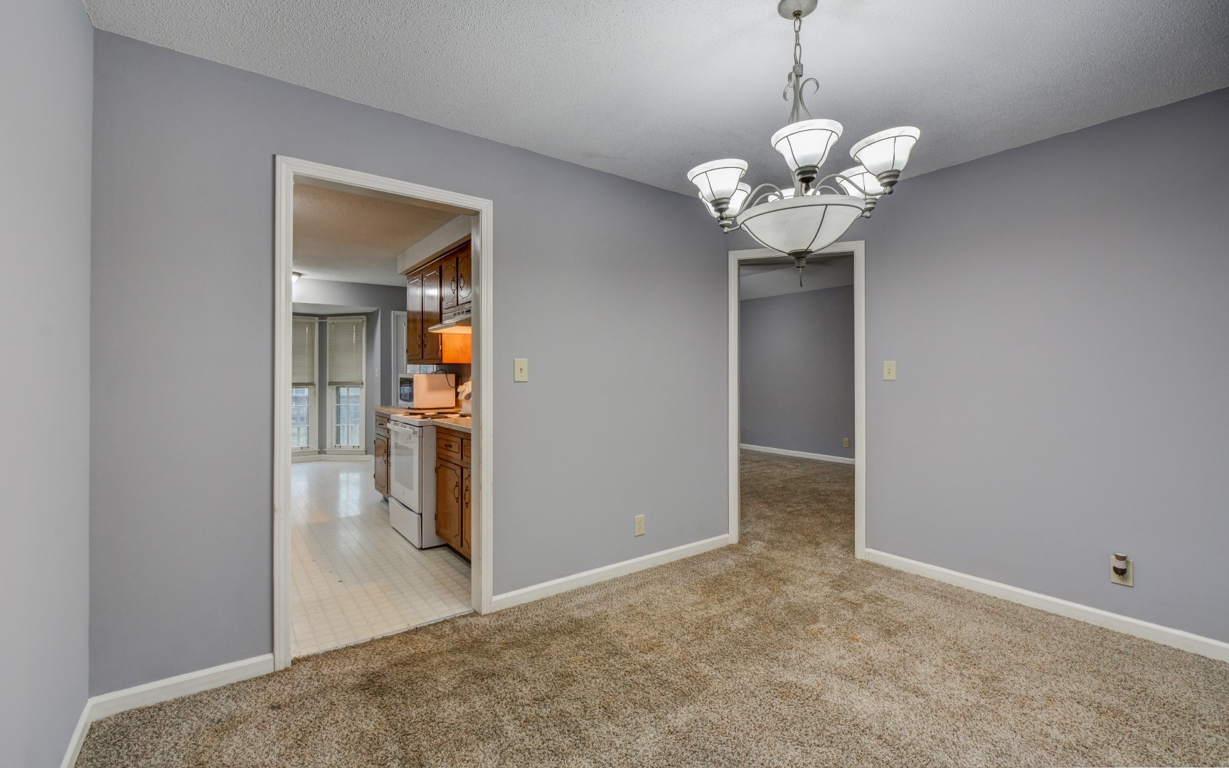 313 Lancaster Road Clarksville, TN 37042 - Photo 9 of 50 Gallery Image 9