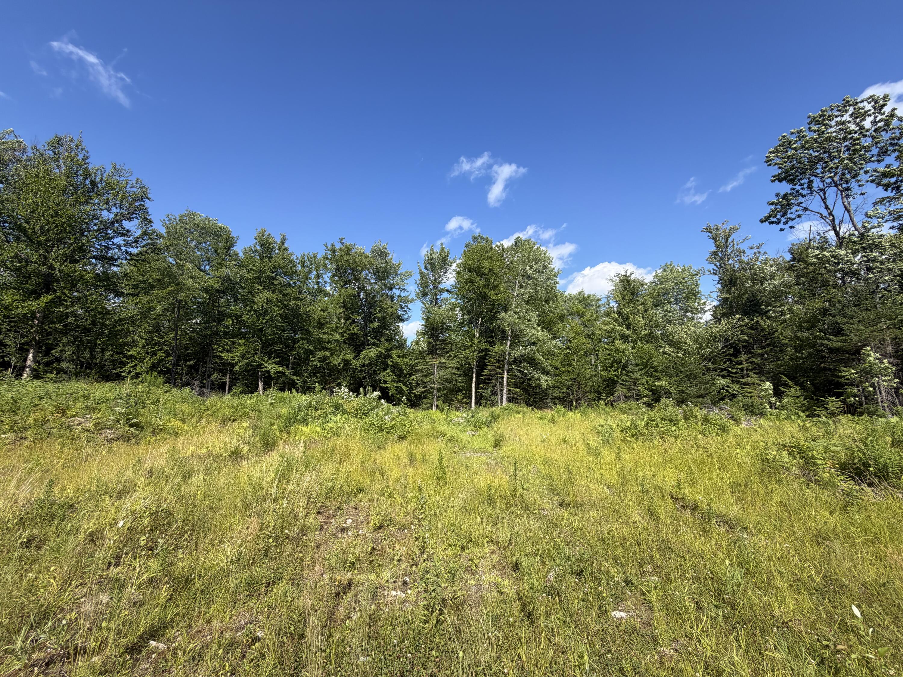 38 Back Parkman Road Abbot, ME 04406 - Photo 21 of 36 IMG_5222