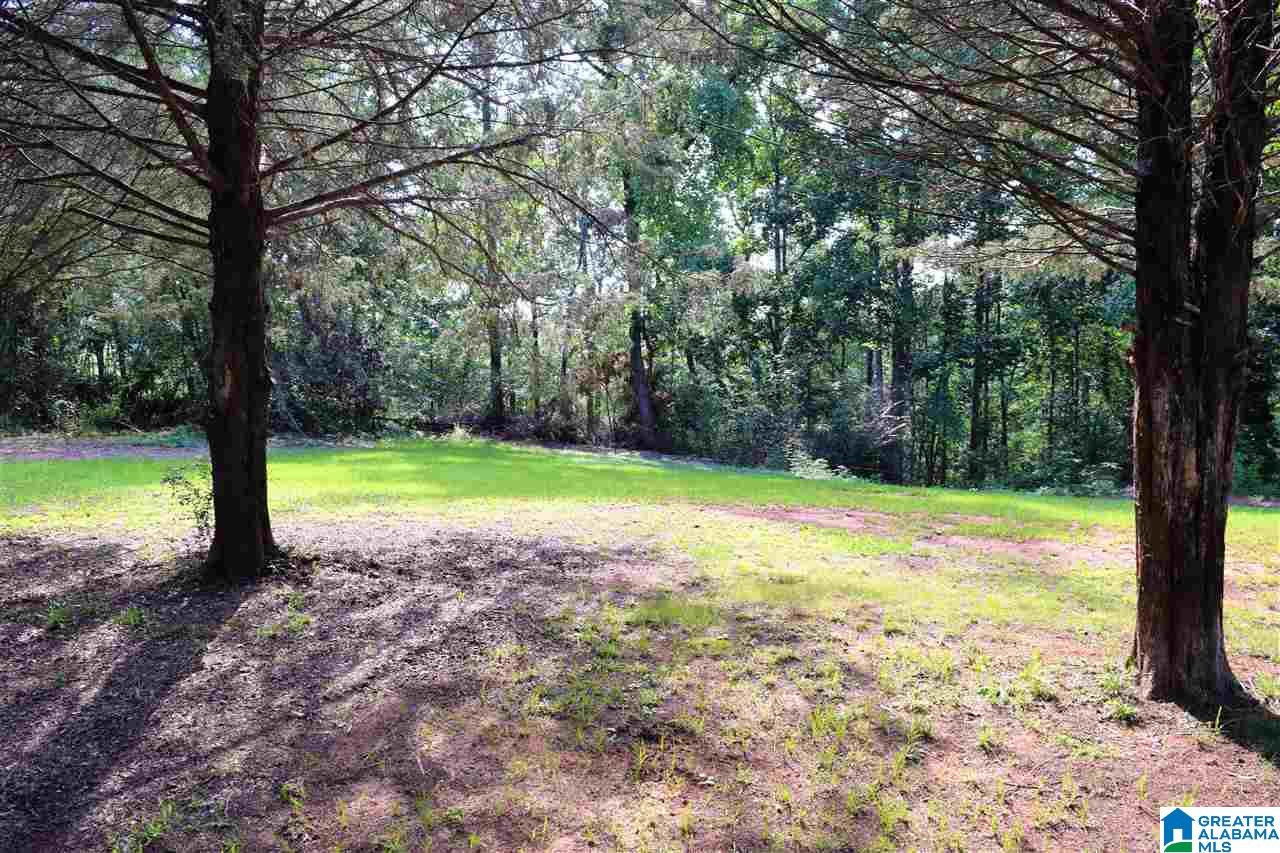 6162 Mountain Ridge Road Trussville, AL 35173 - Photo 2 of 8