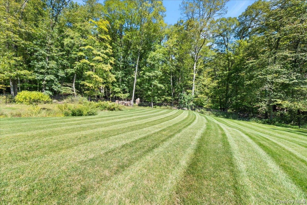 1570 Journeys End Road Croton-on-Hudson, NY 10520 - Photo 46 of 50 a view of a big yard with large trees