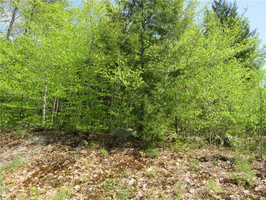 Lot 1 Oak Ridge Road Oakland, ME 04963 - Photo 4 of 12 Photo