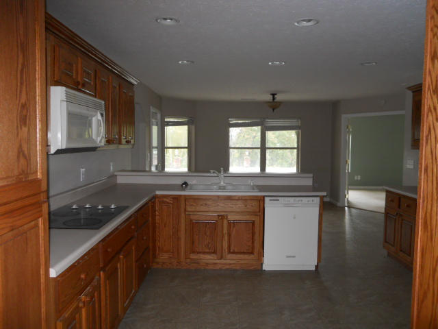 1569 Ellis Road Sevierville, TN 37876 - Photo 9 of 28 DSCN9856