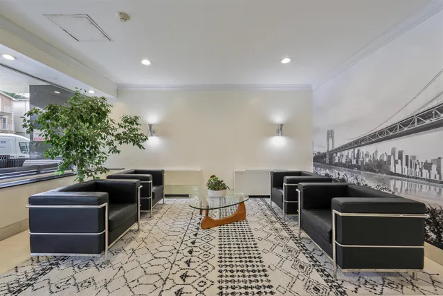 a living room with furniture and a potted plant