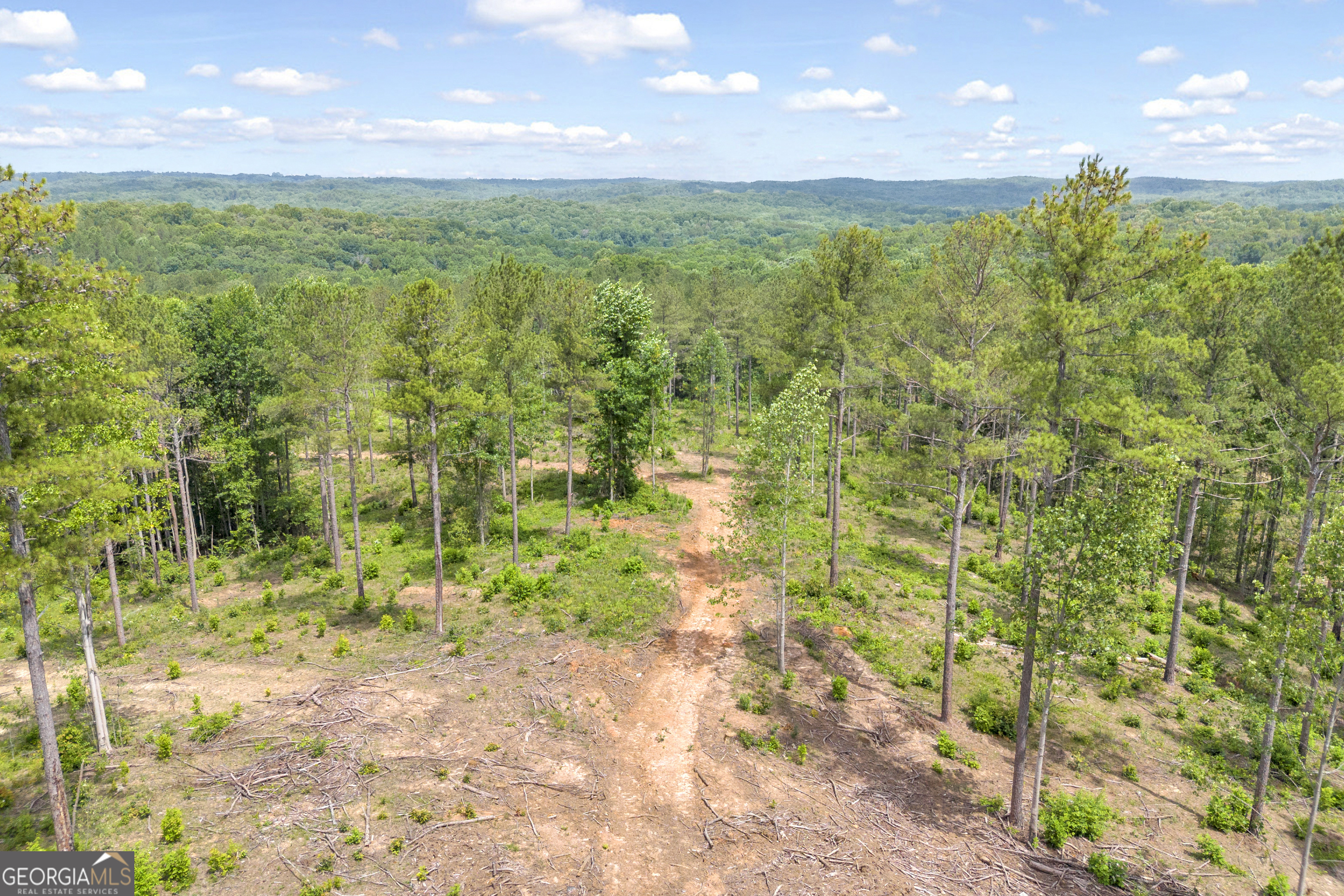 0 Mt Sinai Road, Unit LOT 1 Lula, GA 30554 - Photo 37 of 67