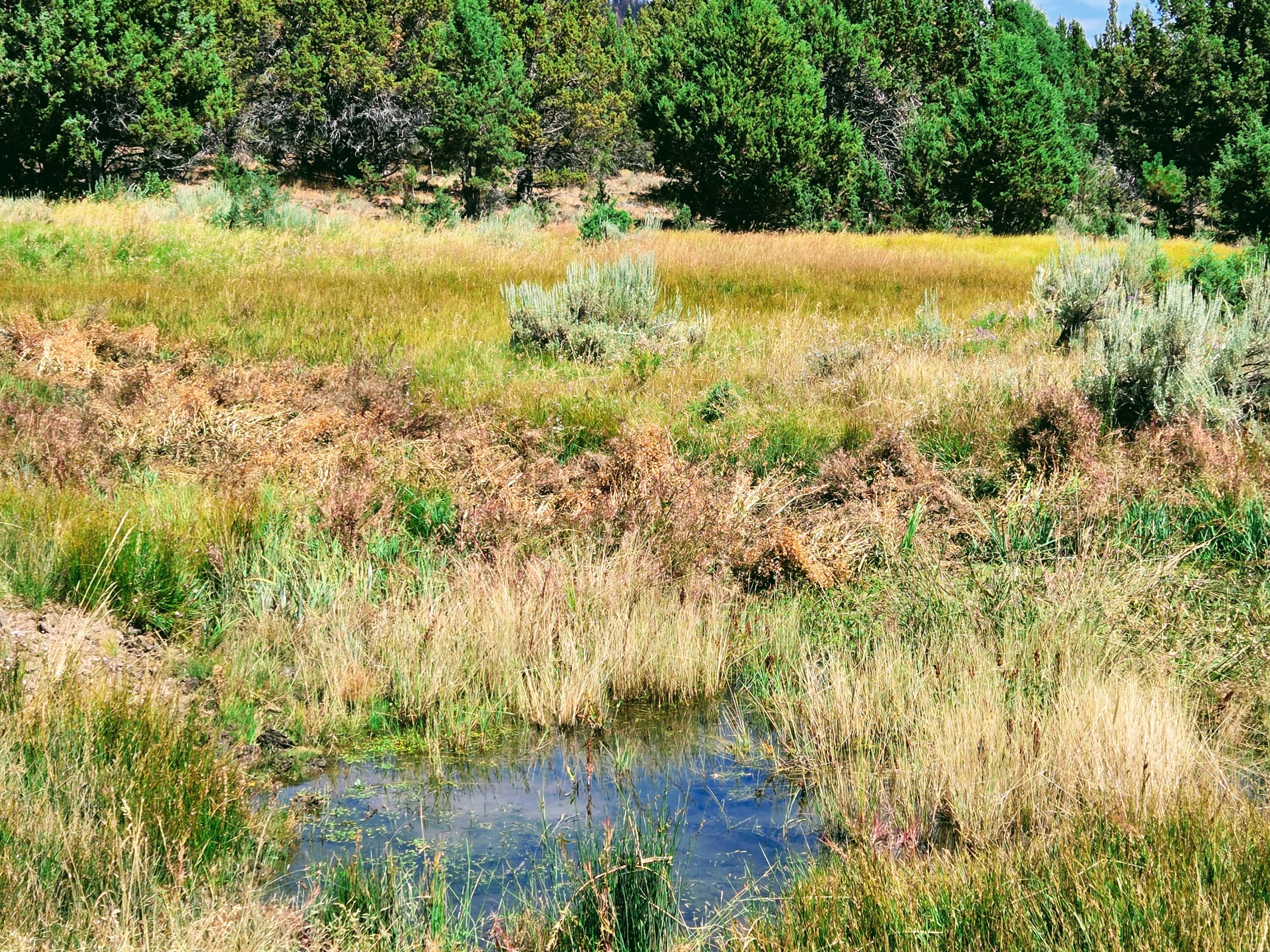 32500 Tackman Road Prineville, OR 97754 - Photo 56 of 112