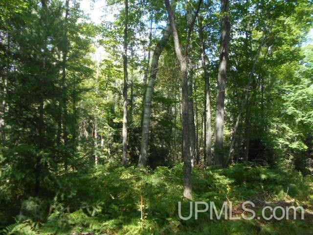 5176 Bonnie View Road Florence, WI 54121 - Photo 3 of 4 Gallery Image 3