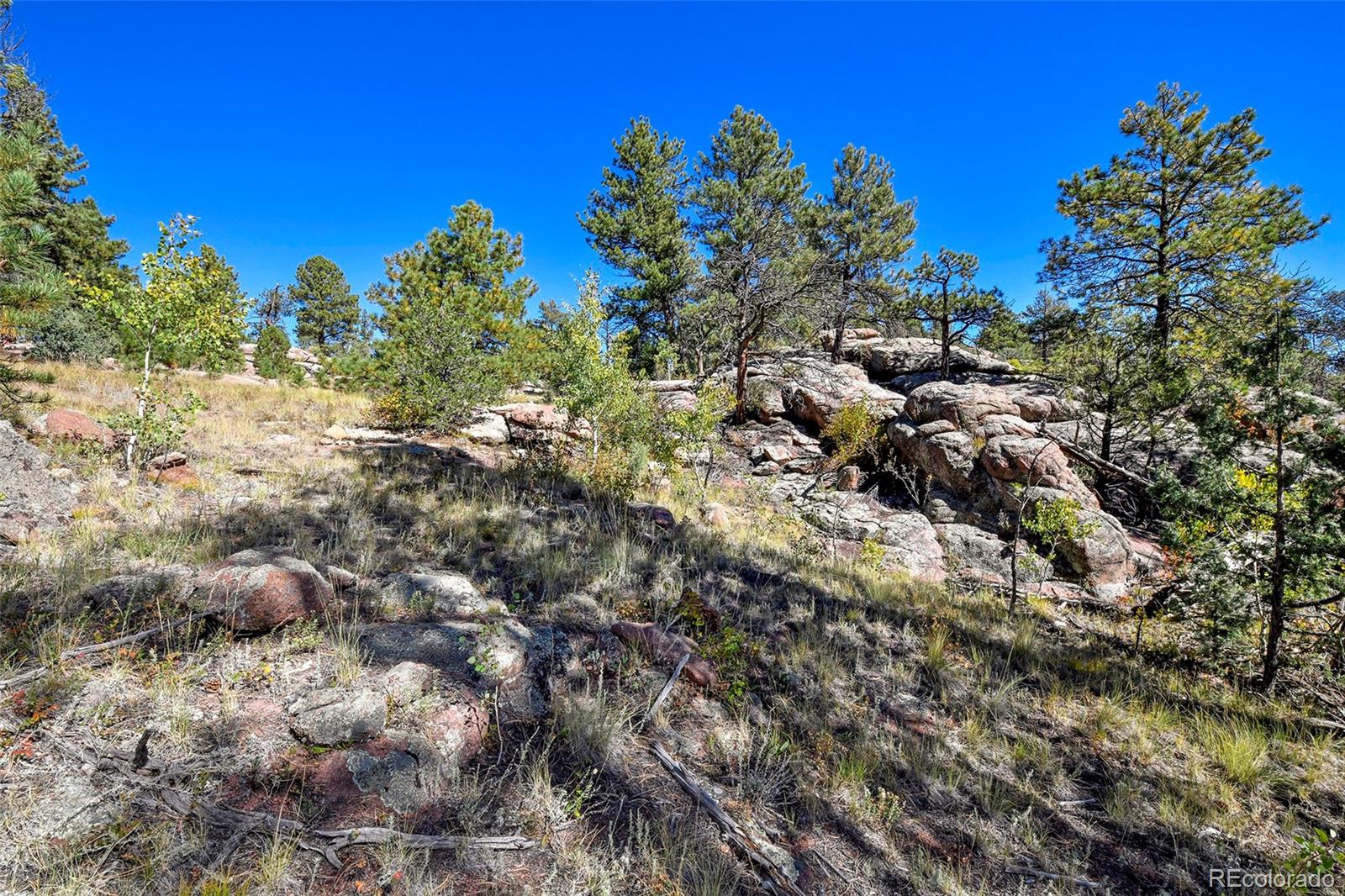 Tbd Tbd Carl Road Florissant, CO 80816 - Photo 11 of 37