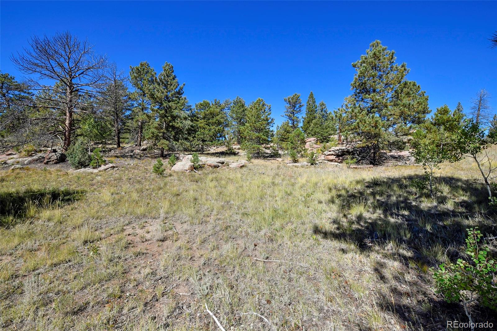 Tbd Tbd Carl Road Florissant, CO 80816 - Photo 12 of 37