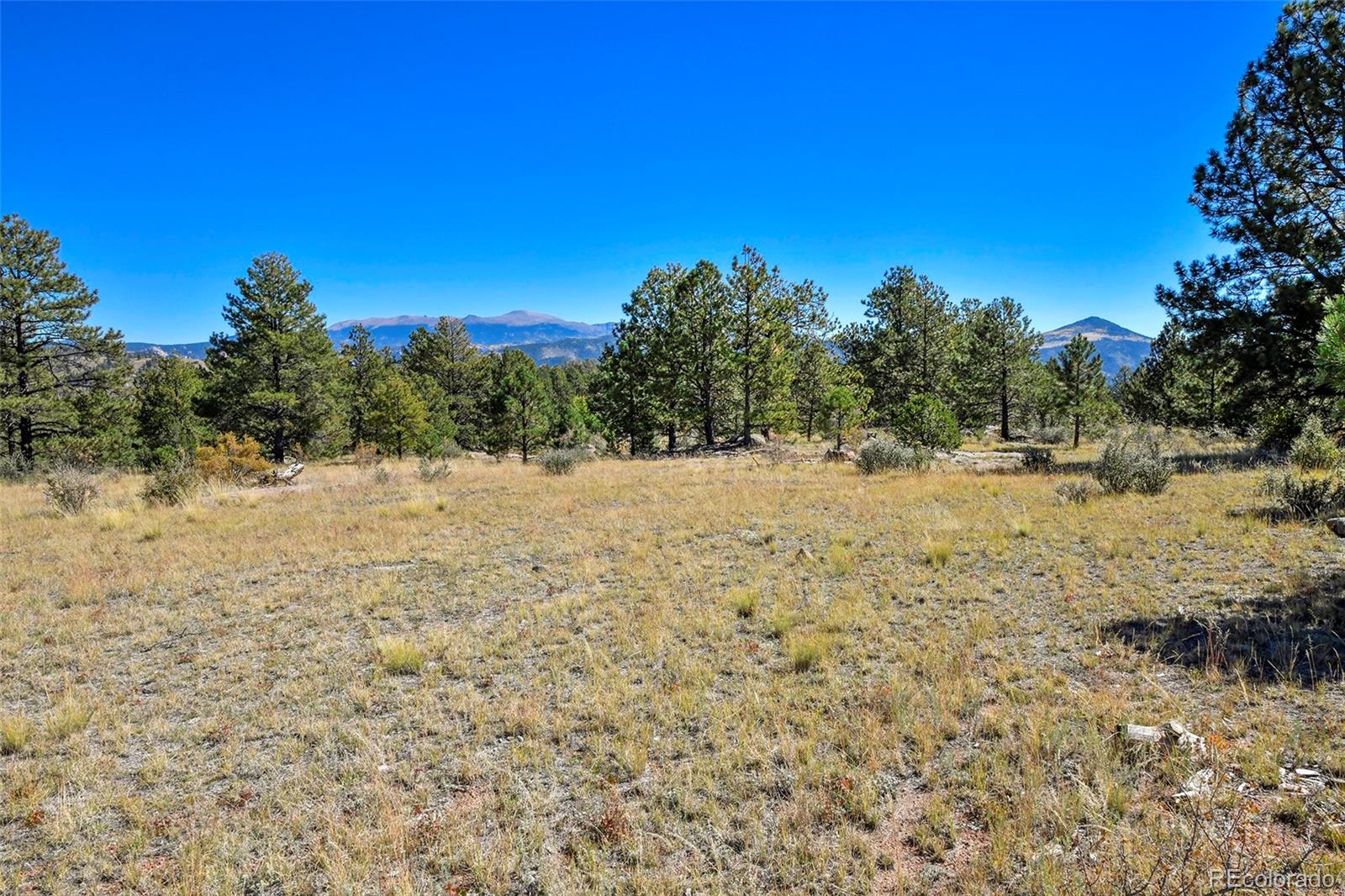 Tbd Tbd Carl Road Florissant, CO 80816 - Photo 17 of 37