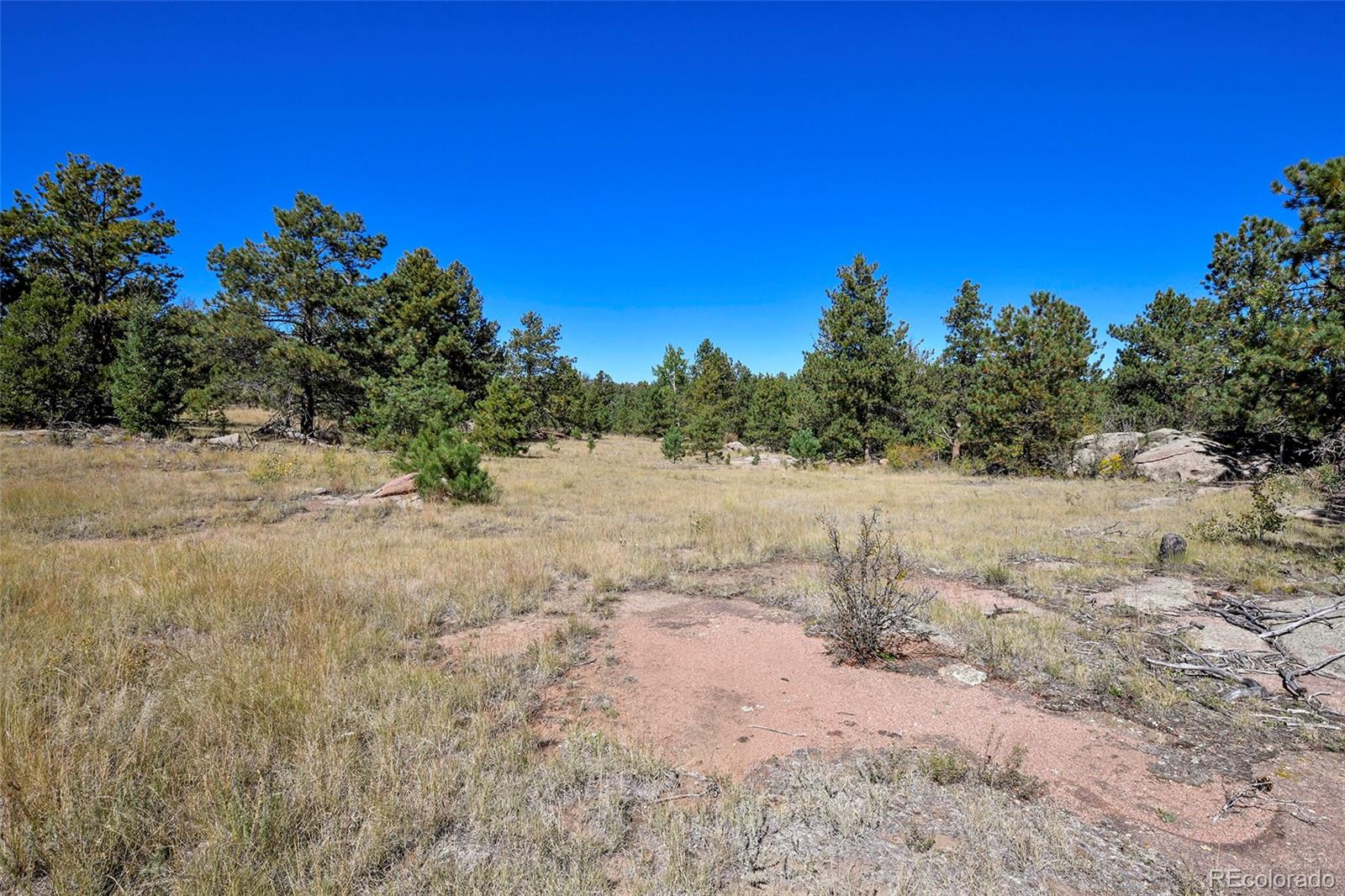 Tbd Tbd Carl Road Florissant, CO 80816 - Photo 20 of 37