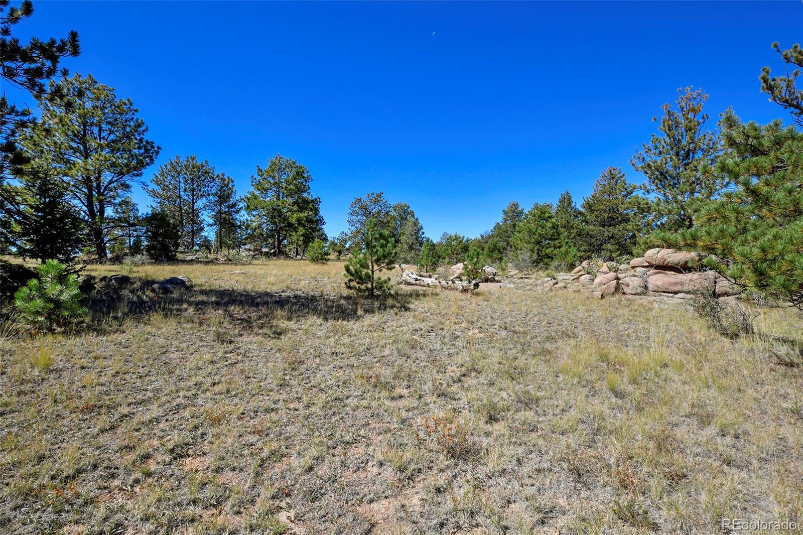 Tbd Tbd Carl Road Florissant, CO 80816 - Photo 21 of 37