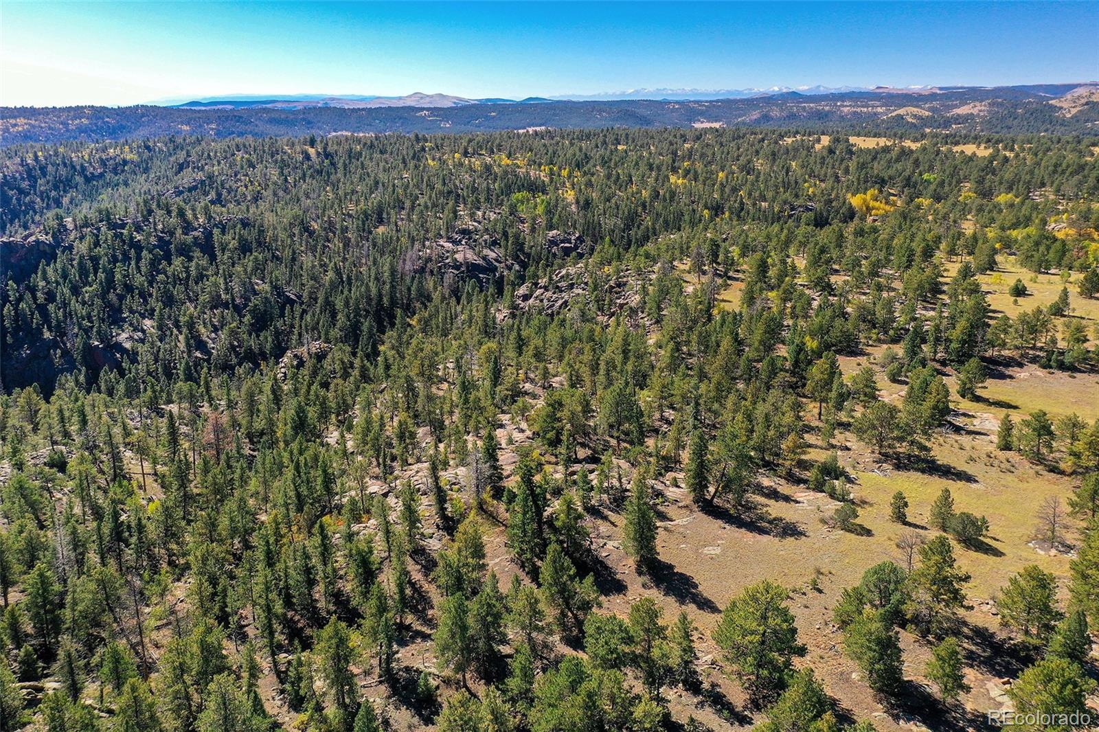 Tbd Tbd Carl Road Florissant, CO 80816 - Photo 26 of 37
