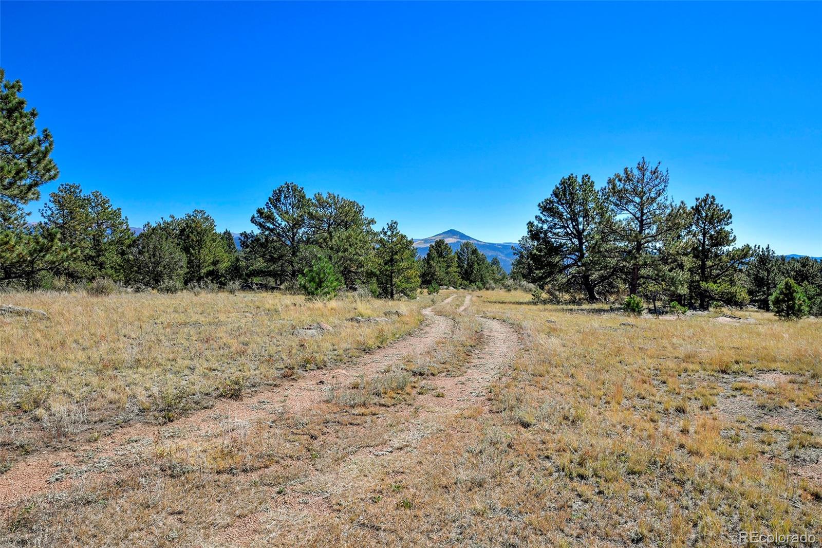 Tbd Tbd Carl Road Florissant, CO 80816 - Photo 3 of 37