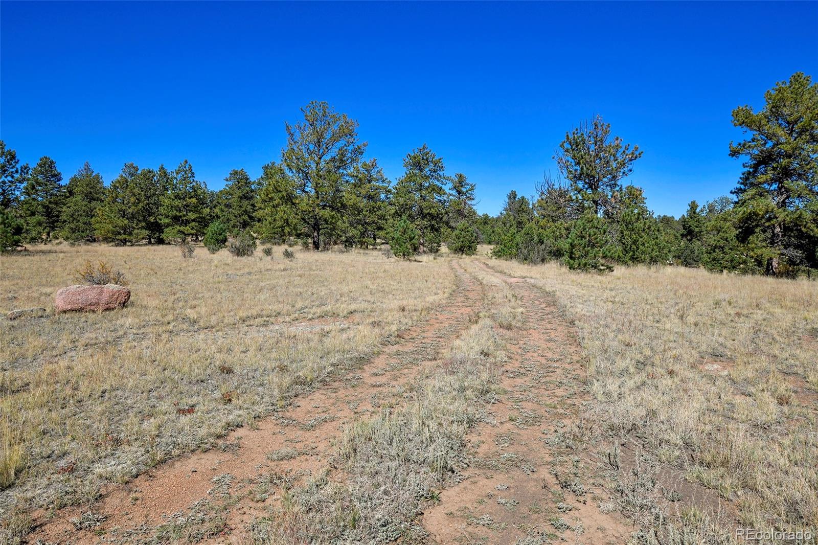Tbd Tbd Carl Road Florissant, CO 80816 - Photo 4 of 37