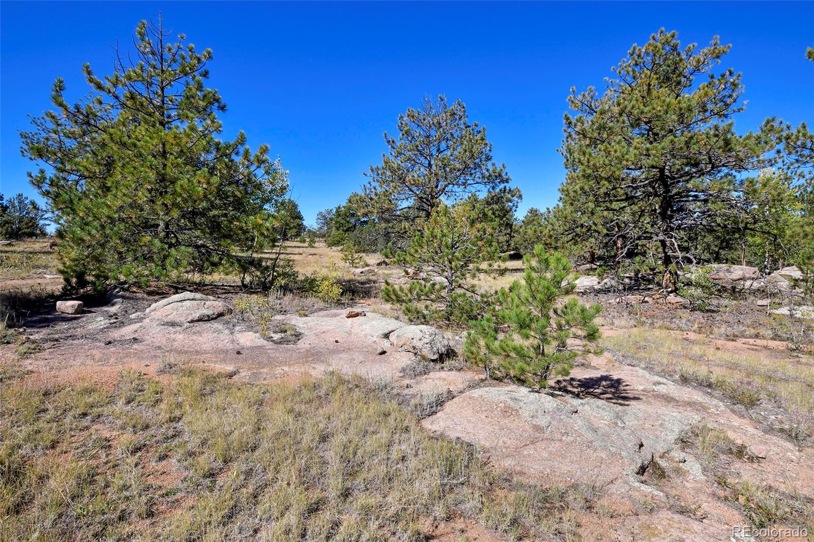 Tbd Tbd Carl Road Florissant, CO 80816 - Photo 6 of 37