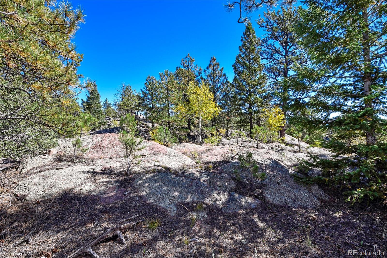 Tbd Tbd Carl Road Florissant, CO 80816 - Photo 8 of 37