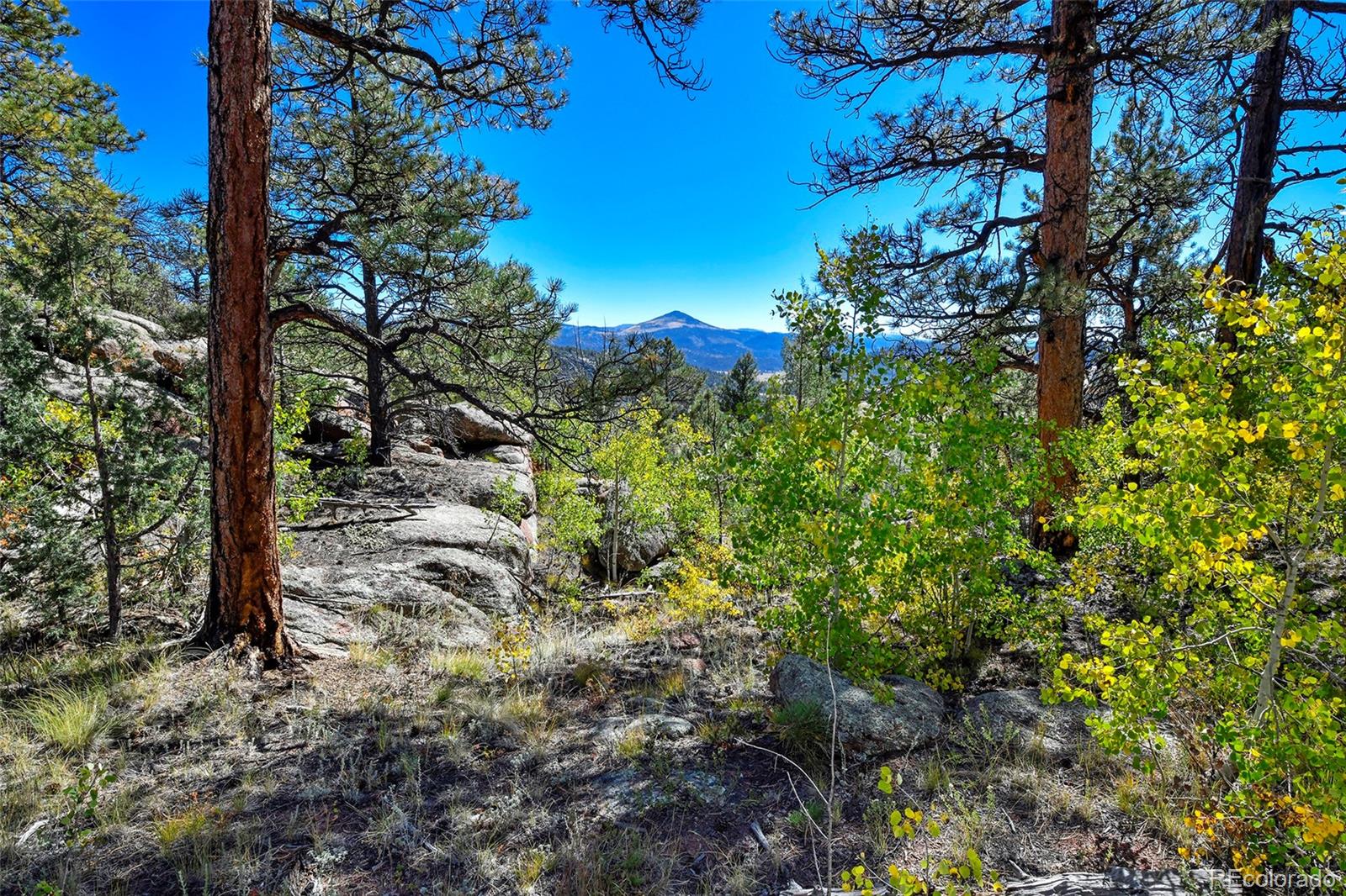 Tbd Tbd Carl Road Florissant, CO 80816 - Photo 10 of 37
