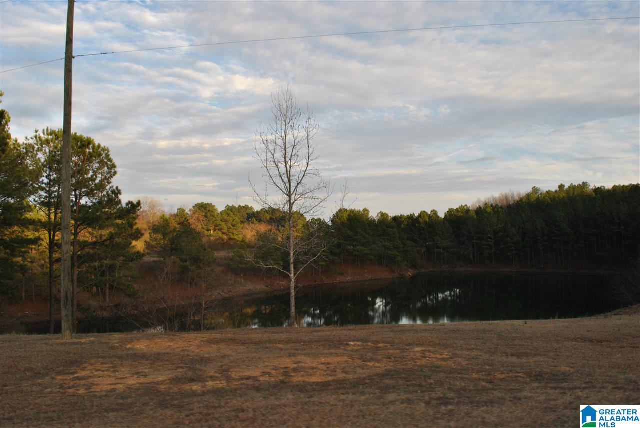 280 Bell Road Nauvoo, AL 35578 - Photo 23 of 23