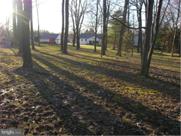 2339 Lenhart Road Colmar, PA 18915 - Photo 22 of 23 Back Yard