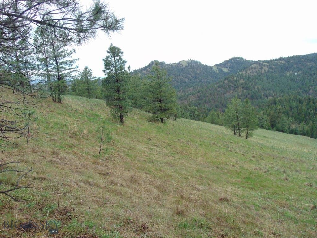 Tbd Shady Spring Lane Cascade, MT 59421 - Photo 25 of 78 Gallery Image 25