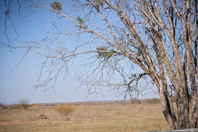 a view of snow on the side of a road