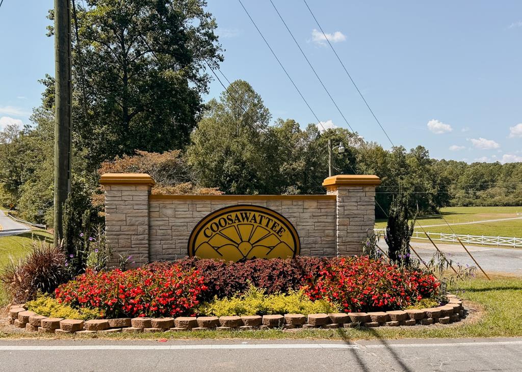 107 23rd Street Ellijay, GA 30540 - Photo 18 of 45 a front view of a house with garden