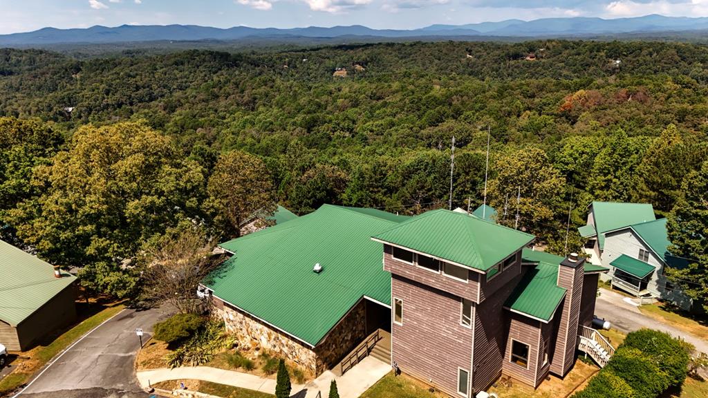 107 23rd Street Ellijay, GA 30540 - Photo 42 of 45 an aerial view of a residential houses with a yard