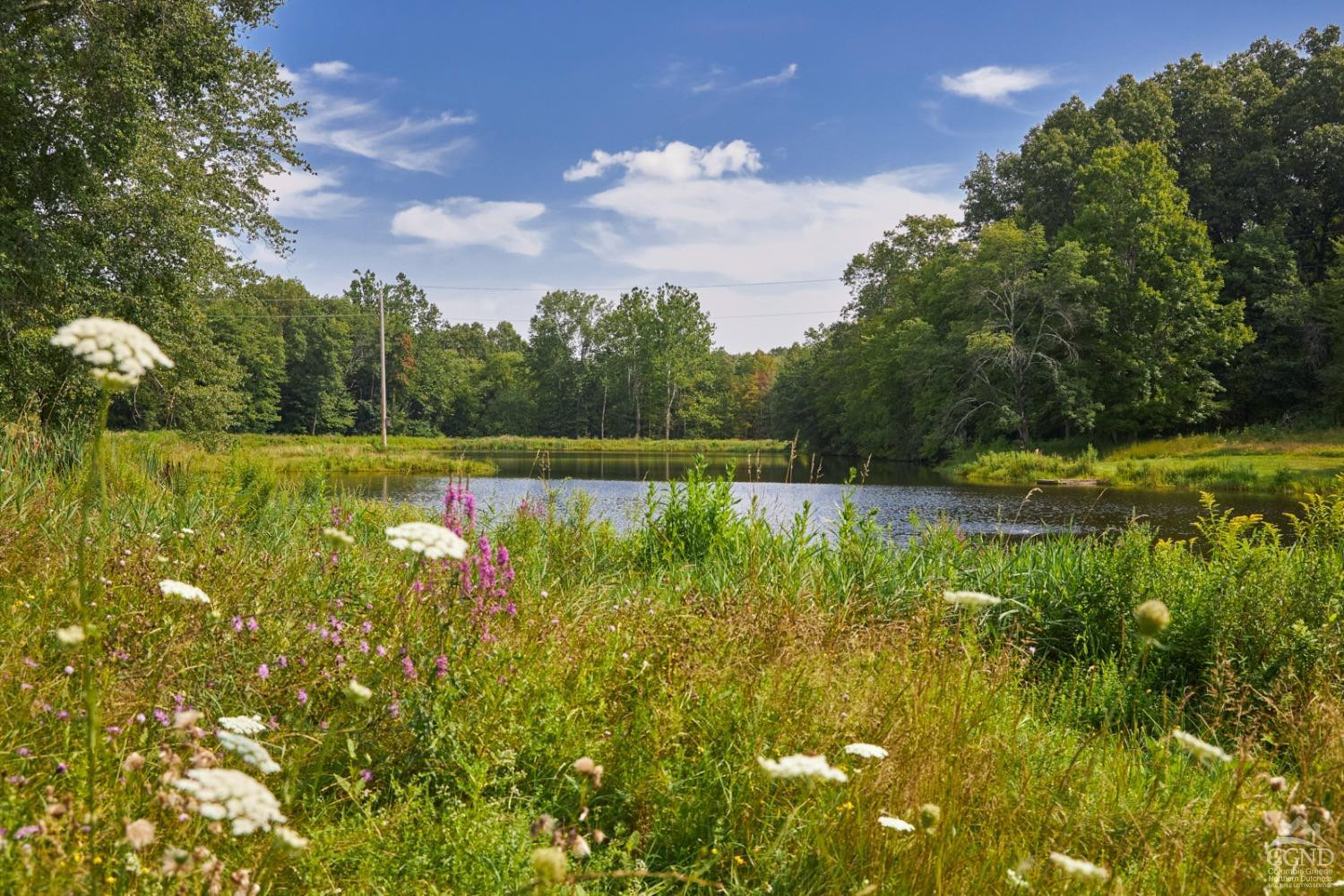 218 Smith Road Pleasant Valley, NY 12569 - Photo 24 of 52 Photo 24