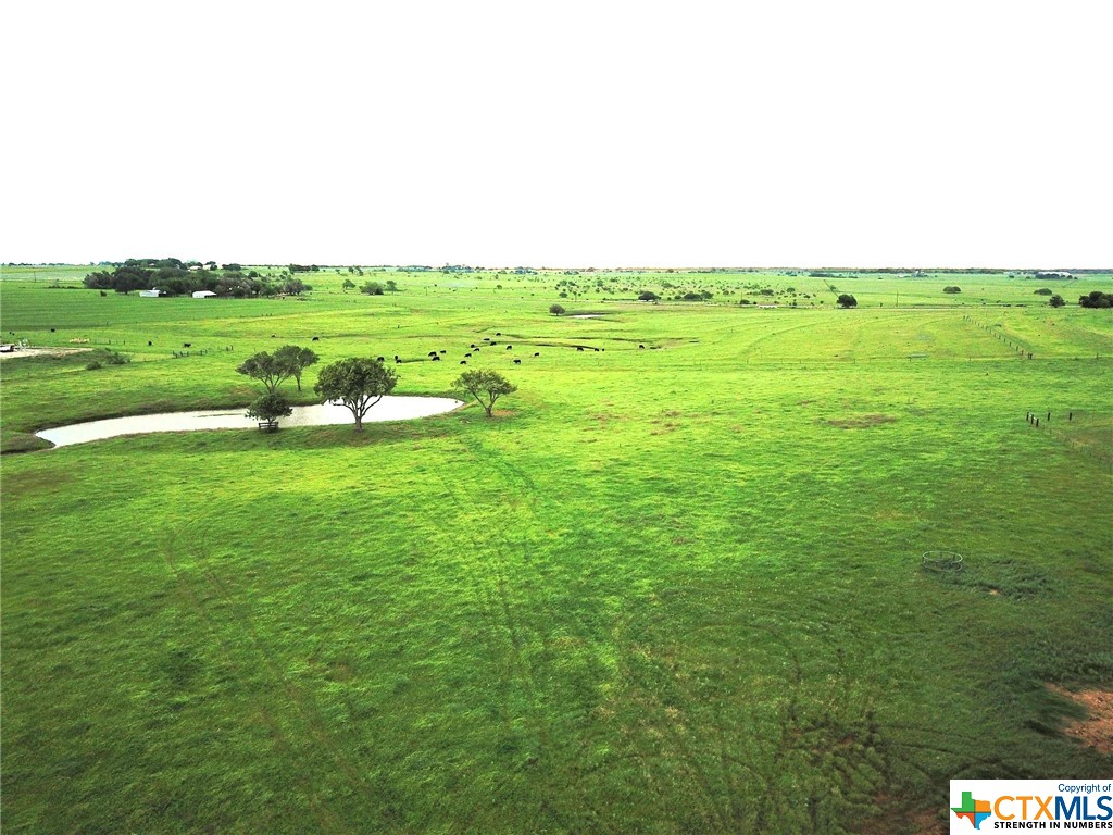 0 Lone Tree Road Yoakum, TX 77995 - Photo 1 of 1 Gallery Image 1