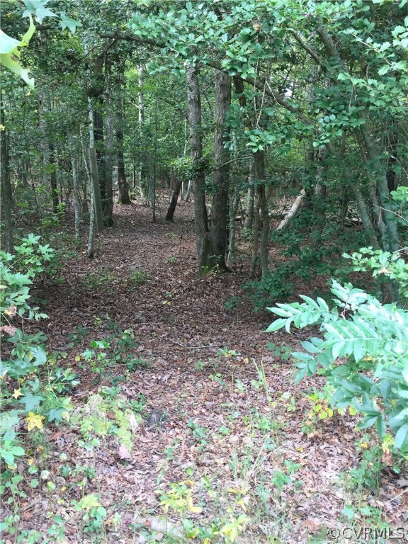 7980 George W Watkins Road Quinton, VA 23141 - Photo 7 of 34 Gallery Image 7