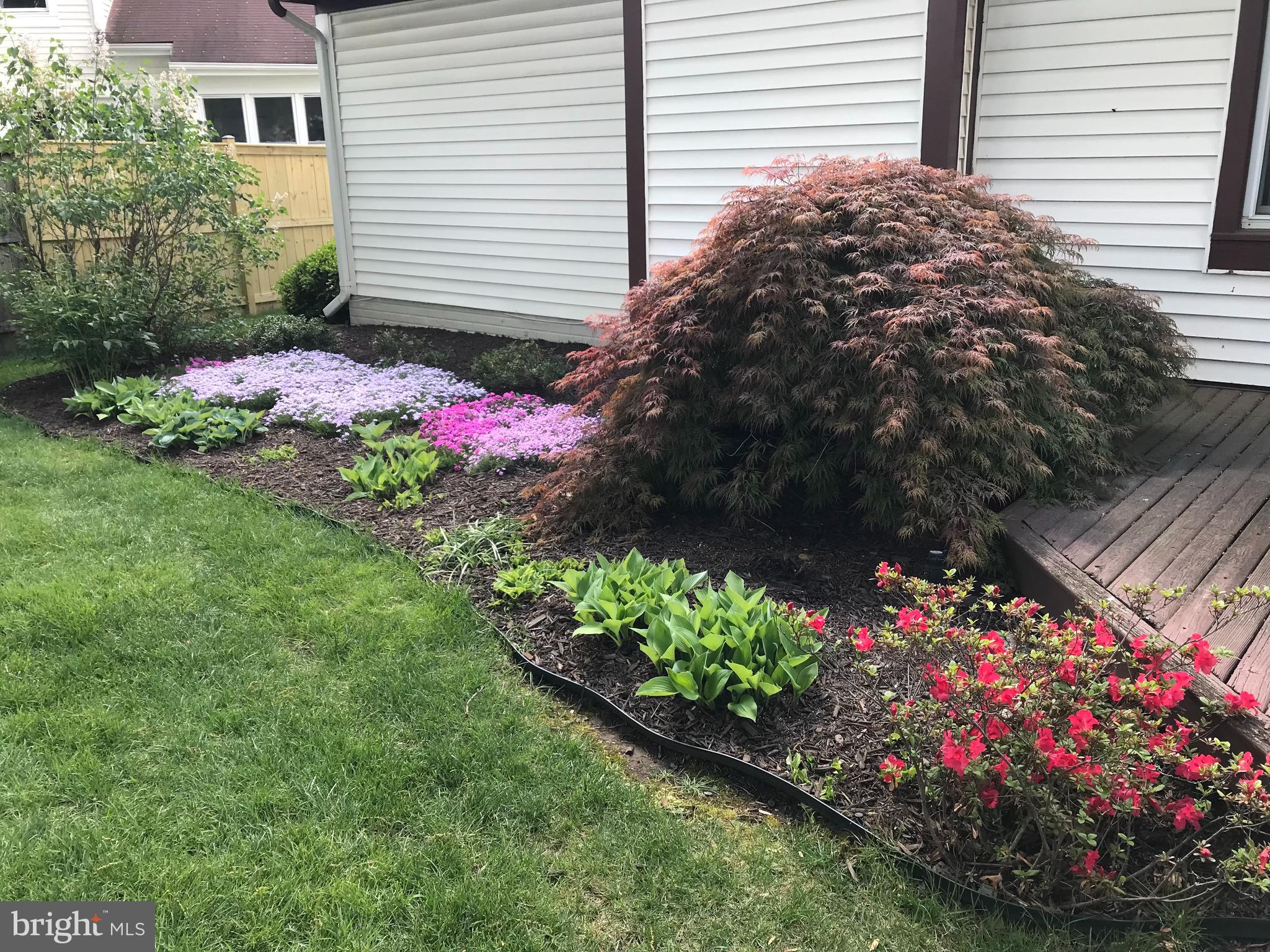 6730 Anders Terrace Springfield, VA 22151 - Photo 35 of 38 Beautiful yard!