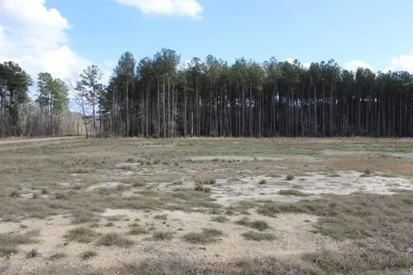 $62,000 | 24755 Highway 442, Independence, LA 70443