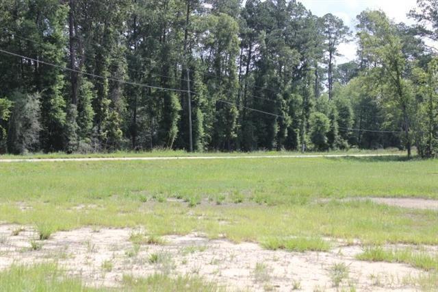 24755 Highway 442 Independence, LA 70443 - Photo 2 of 6