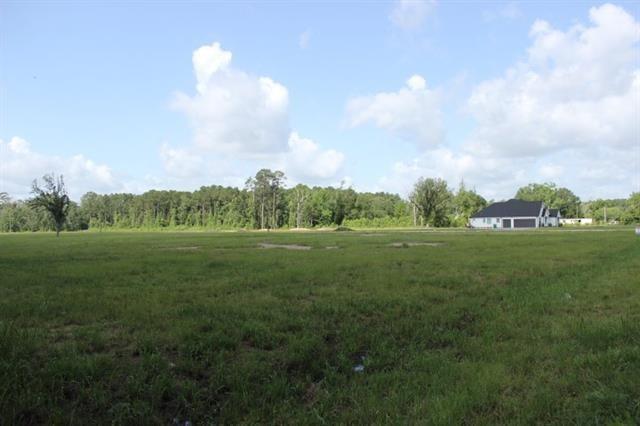 24755 Highway 442 Independence, LA 70443 - Photo 3 of 6