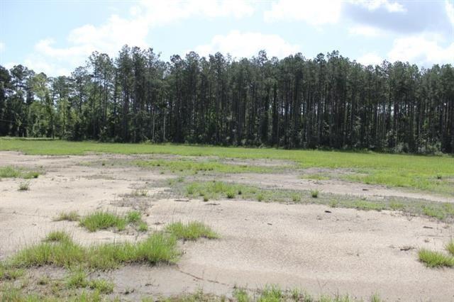 24755 Highway 442 Independence, LA 70443 - Photo 4 of 6