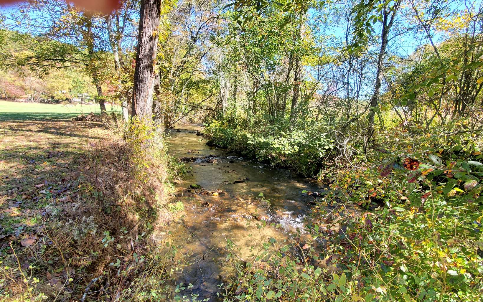 29 Possum Poke Road Ellijay, GA 30536 - Photo 6 of 24 Additional View