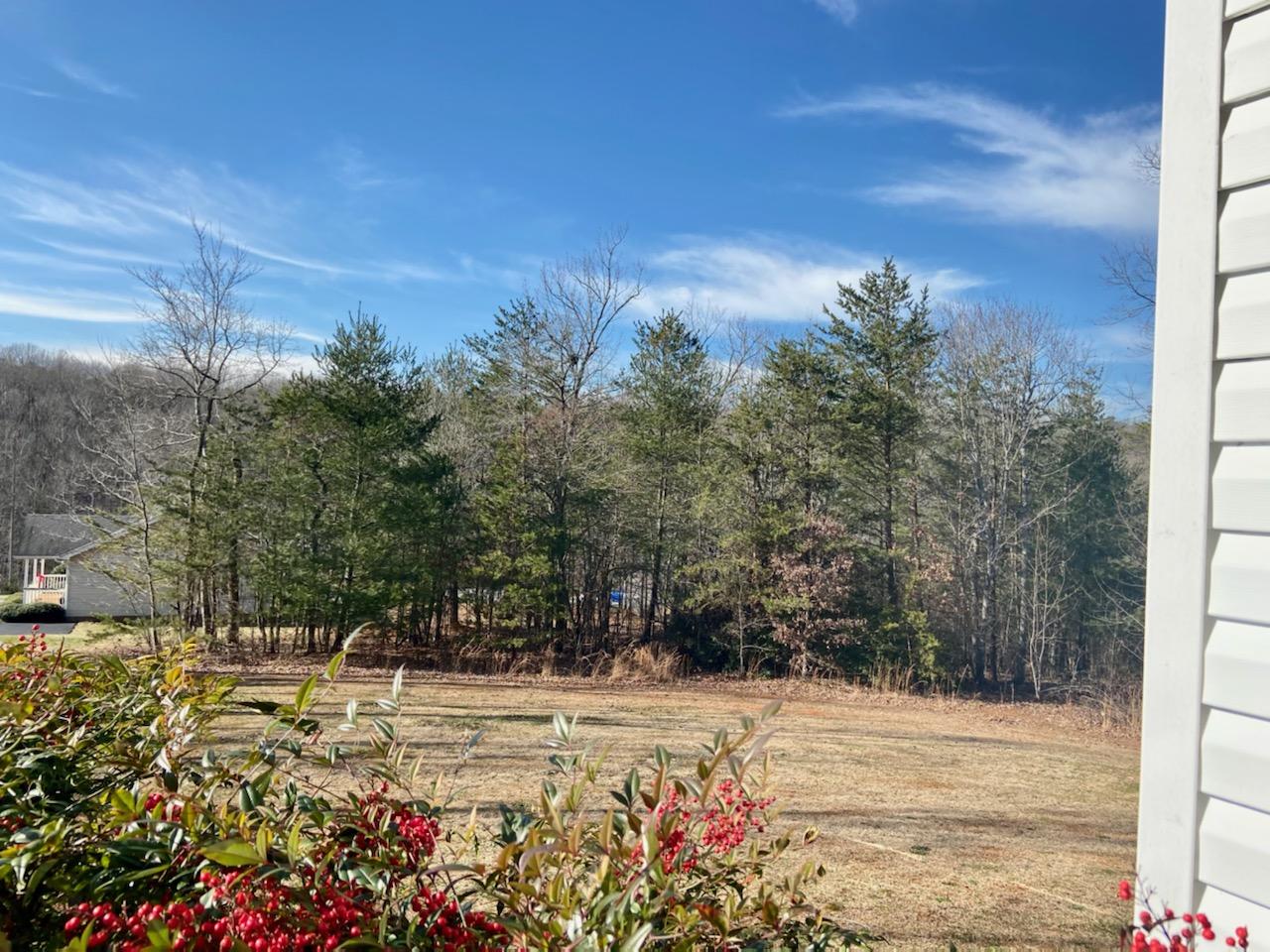 1269 Cinnamon Ridge Road Moneta, VA 24121 - Photo 31 of 39 IMG_7941(1)