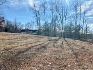 1269 Cinnamon Ridge Road Moneta, VA 24121 - Photo 38 of 39 vmatxsloak_2405933436384-5-4