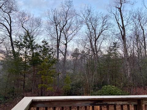 1269 Cinnamon Ridge Road Moneta, VA 24121 - Photo 39 of 39 36838