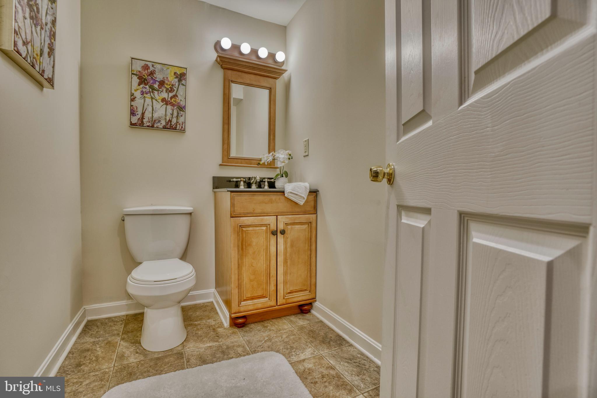 119 Spry Island Road Joppa, MD 21085 - Photo 59 of 73 Lower Level Powder Room