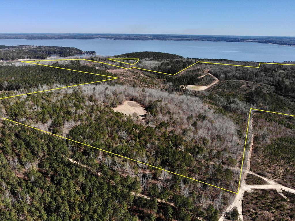 0 County Road 97 Abbeville, AL 36310 - Photo 1 of 53 Main View